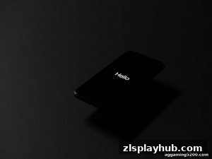 AG真人 zlsplayhub
