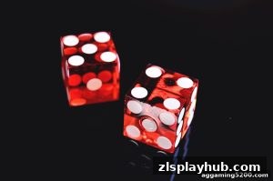 AG真人 zlsplayhub